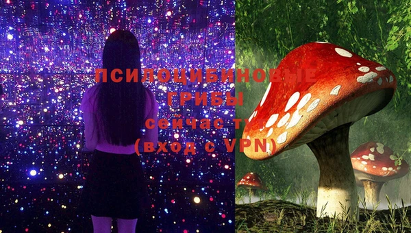 спиды Гусиноозёрск