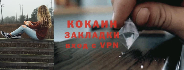 Альфа ПВП Гусев