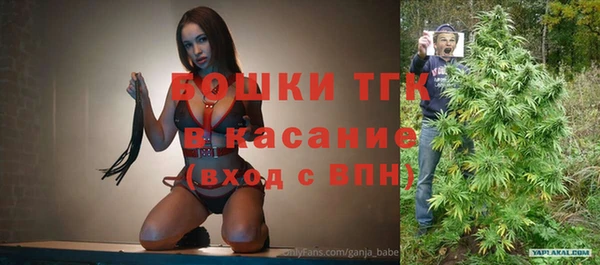 Альфа ПВП Гусев