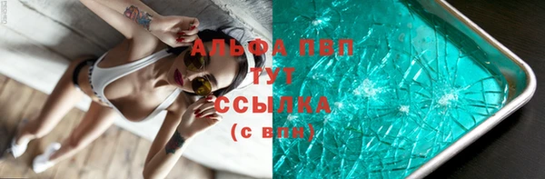 Альфа ПВП Гусев