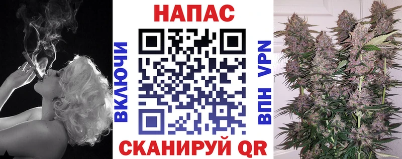 Конопля MAZAR  Купить где  Ленинск 